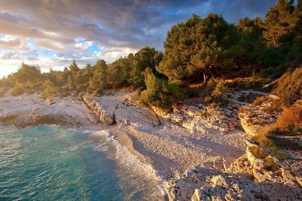 Apartments Istra Nielsen Premantura Εξωτερικό φωτογραφία